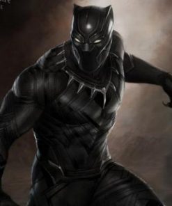 «Black Panther», s’apprête à bondir à l’écran